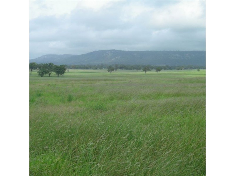 . Dalmore, Scone NSW 2337