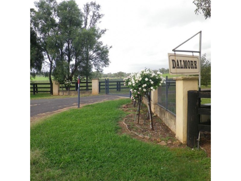 . Dalmore, Scone NSW 2337