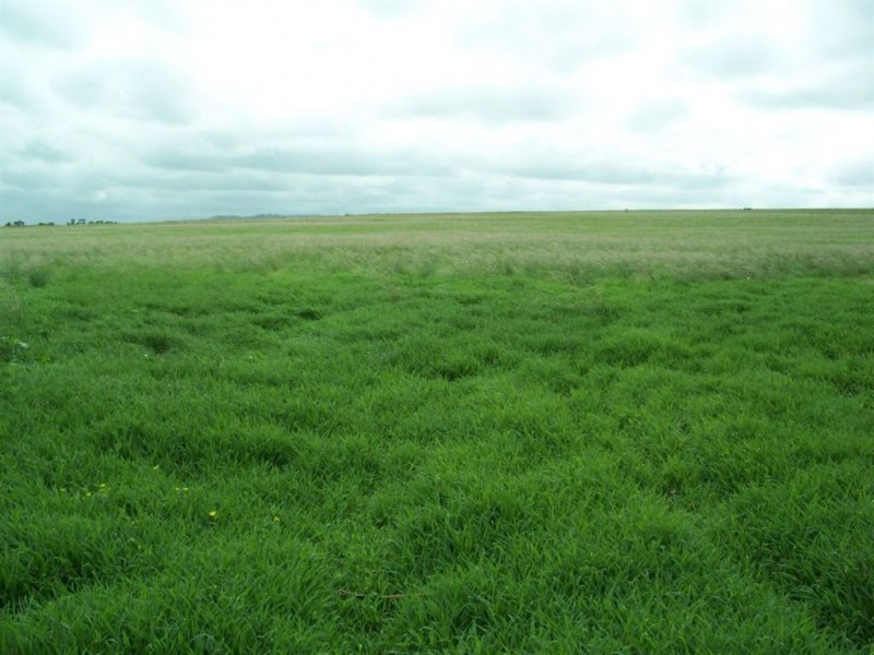 94 Lawlers Lane, Merriwa NSW 2329