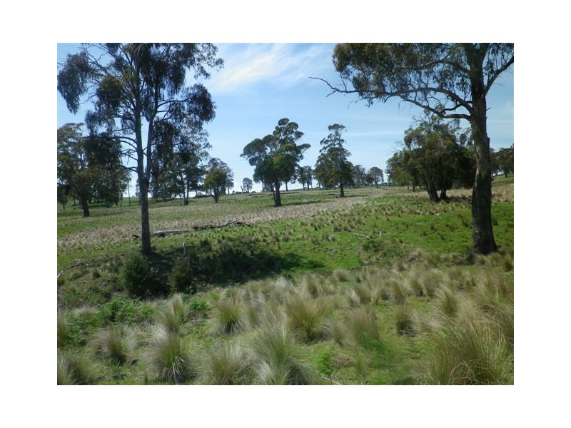. Millmiland, Scone NSW 2337