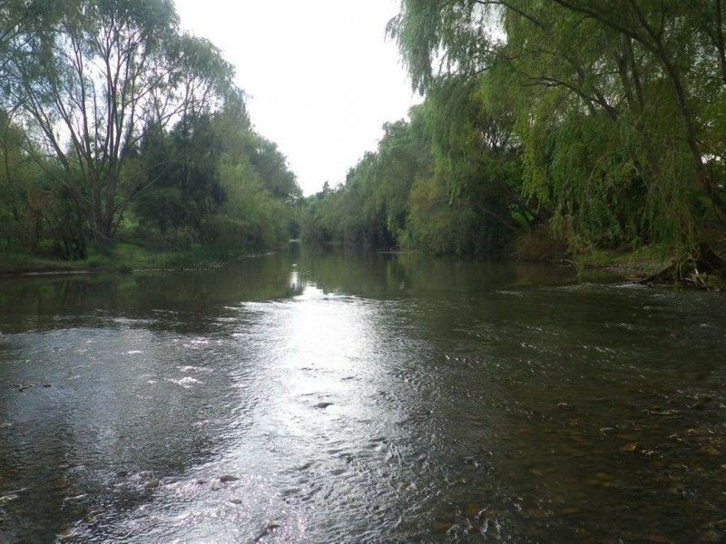 . Esmai, Denman NSW 2328