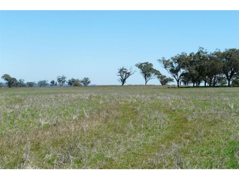 . Tunbridge Olde, Merriwa NSW 2329