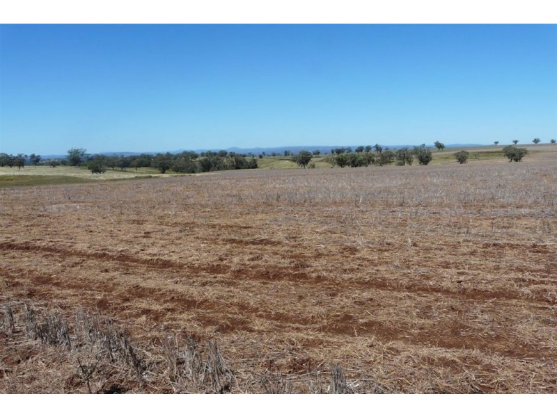 . Tunbridge Olde, Merriwa NSW 2329