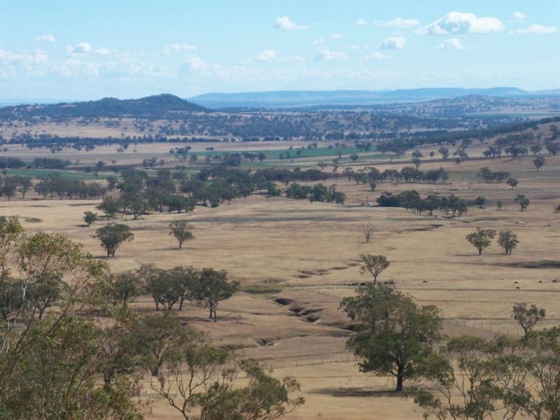 713 Swinging Ridges Road, “Nioka”, Willow Tree NSW 2339