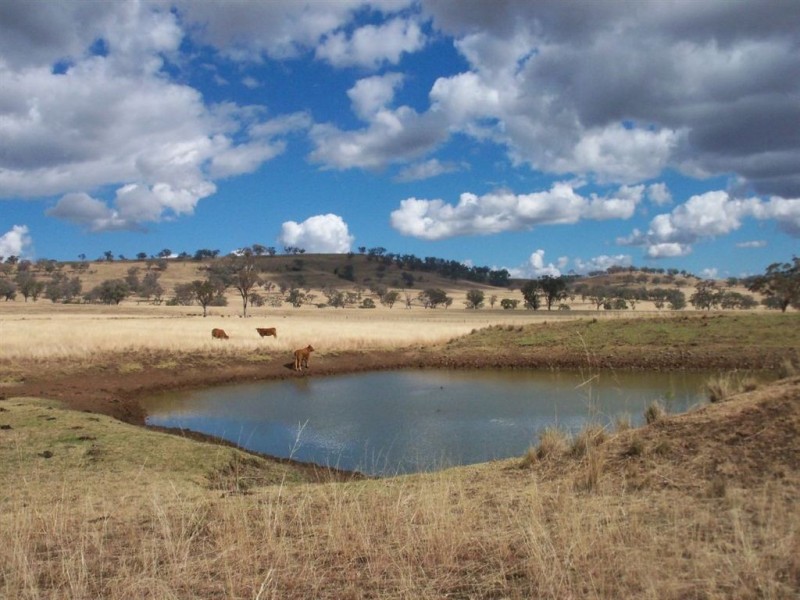 713 Swinging Ridges Road, “Nioka”, Willow Tree NSW 2339