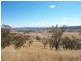 713 Swinging Ridges Road, “Nioka”, Willow Tree NSW 2339