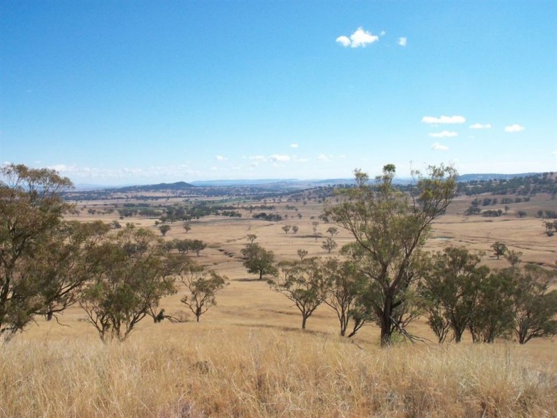 713 Swinging Ridges Road, “Nioka”, Willow Tree NSW 2339