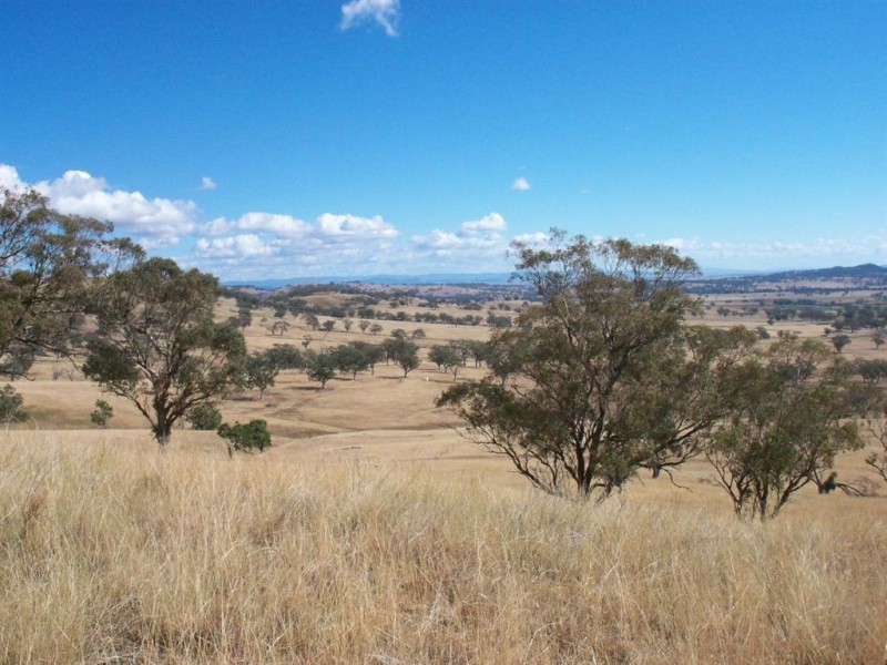 713 Swinging Ridges Road, “Nioka”, Willow Tree NSW 2339