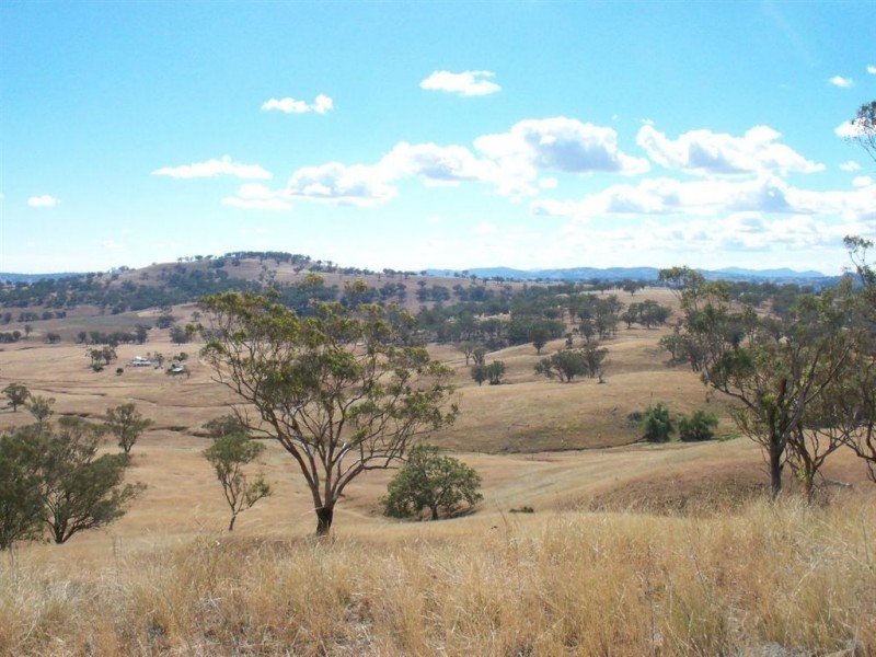 713 Swinging Ridges Road, “Nioka”, Willow Tree NSW 2339