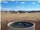 713 Swinging Ridges Road, “Nioka”, Willow Tree NSW 2339
