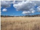 713 Swinging Ridges Road, “Nioka”, Willow Tree NSW 2339