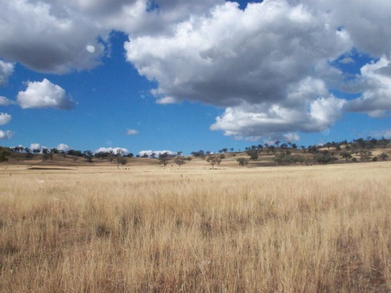 713 Swinging Ridges Road, “Nioka”, Willow Tree NSW 2339