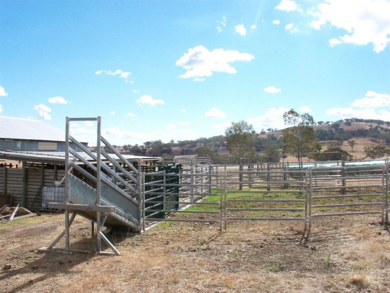 713 Swinging Ridges Road, “Nioka”, Willow Tree NSW 2339