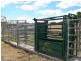 713 Swinging Ridges Road, “Nioka”, Willow Tree NSW 2339