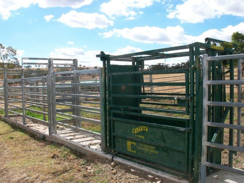713 Swinging Ridges Road, “Nioka”, Willow Tree NSW 2339
