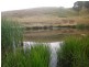 . “Half Moon”, Bowmans Creek, Singleton NSW 2330
