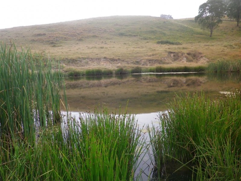 . “Half Moon”, Bowmans Creek, Singleton NSW 2330