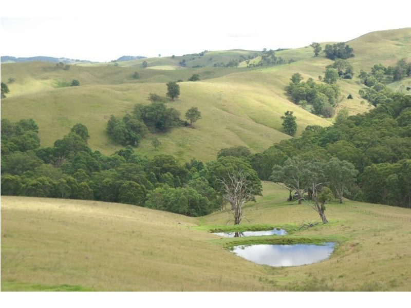 . “Half Moon”, Bowmans Creek, Singleton NSW 2330