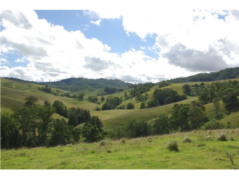 . “Half Moon”, Bowmans Creek, Singleton NSW 2330