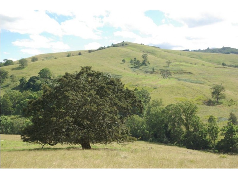 . “Half Moon”, Bowmans Creek, Singleton NSW 2330