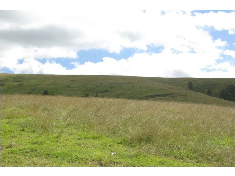 . “Half Moon”, Bowmans Creek, Singleton NSW 2330