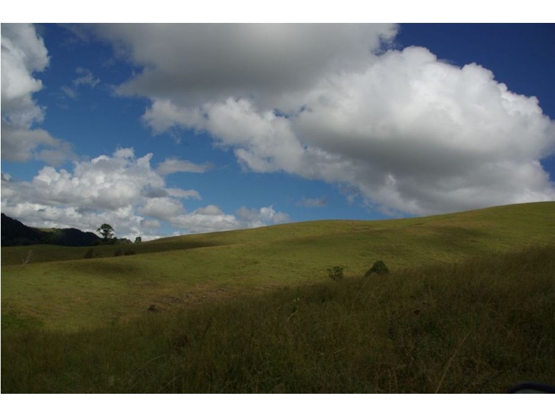 . “Half Moon”, Bowmans Creek, Singleton NSW 2330
