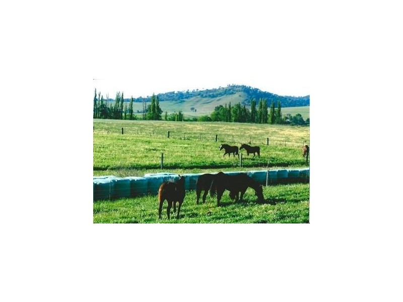 193 Rouchel Rd, “Riverview”, Aberdeen NSW 2336