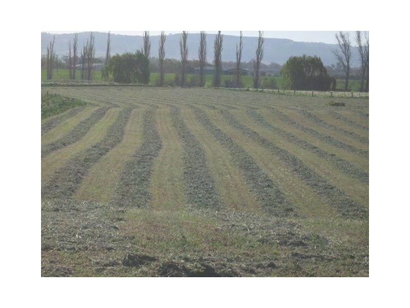 193 Rouchel Rd, “Riverview”, Aberdeen NSW 2336