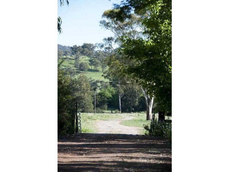 543 Pages River Rd, “Singles Creek”, Murrurundi NSW 2338
