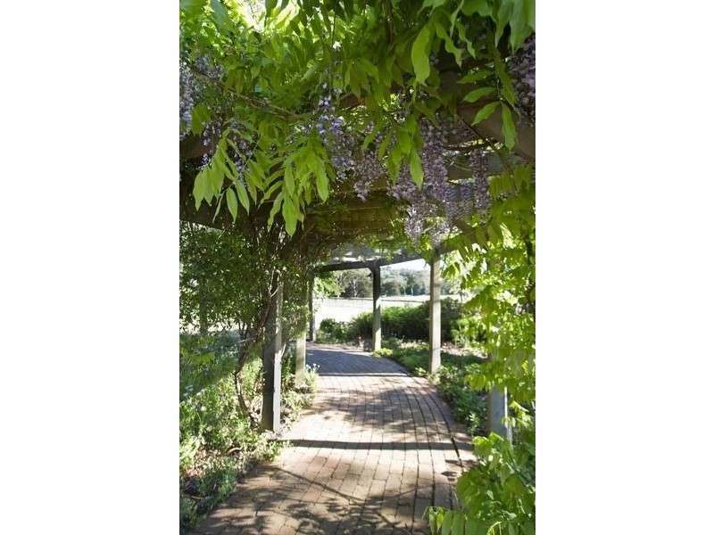 543 Pages River Rd, “Singles Creek”, Murrurundi NSW 2338