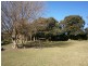 9 Wilson St, Gundy NSW 2337