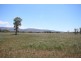 112 Cliftlands Rd, Scone NSW 2337