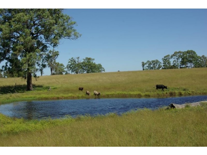 45 Petwyn Vale Road, “Lassen Park”, Wingen NSW 2337