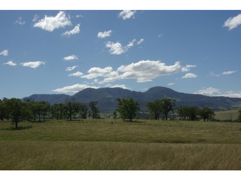 45 Petwyn Vale Road, “Lassen Park”, Wingen NSW 2337