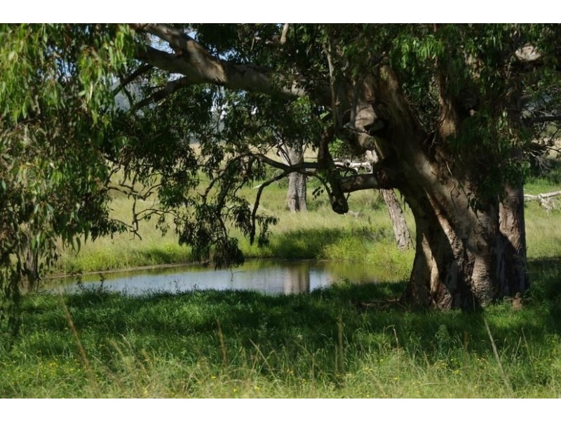 45 Petwyn Vale Road, “Lassen Park”, Wingen NSW 2337