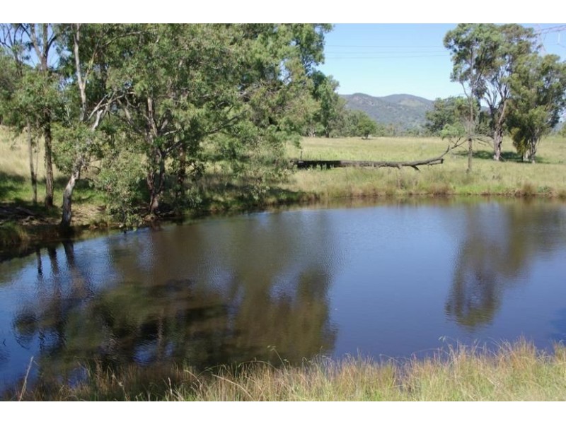 45 Petwyn Vale Road, “Lassen Park”, Wingen NSW 2337