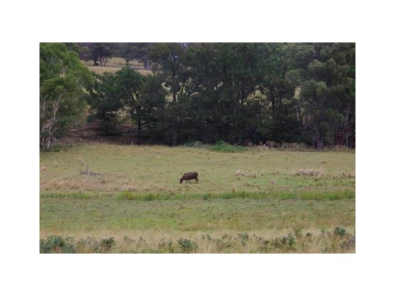. “Temple Court”, Haydon St, Murrurundi NSW 2338