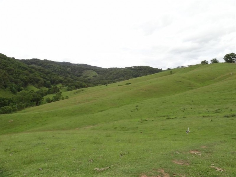 . “Top View”, Moonan Flat NSW 2337