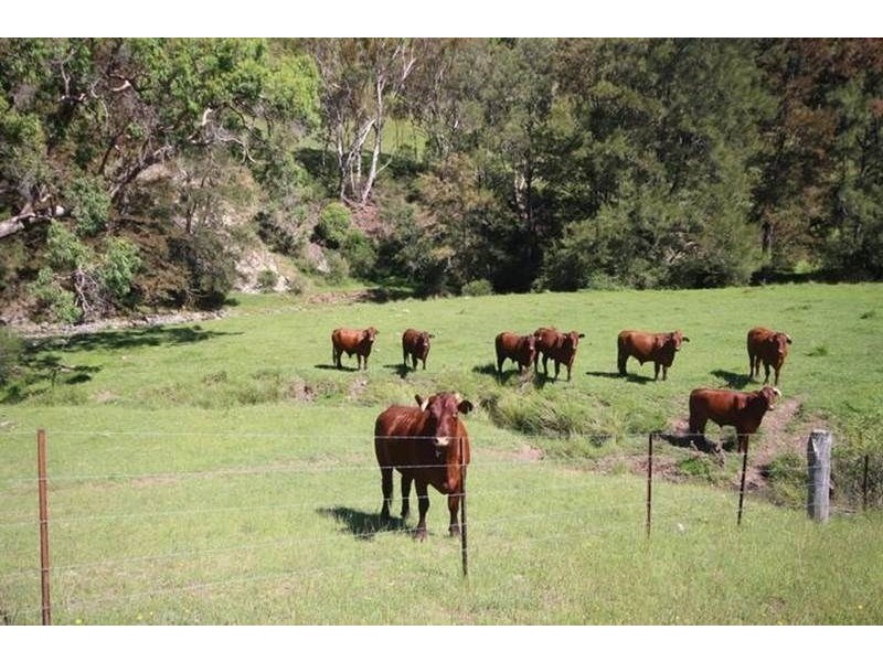 . “Top View”, Moonan Flat NSW 2337
