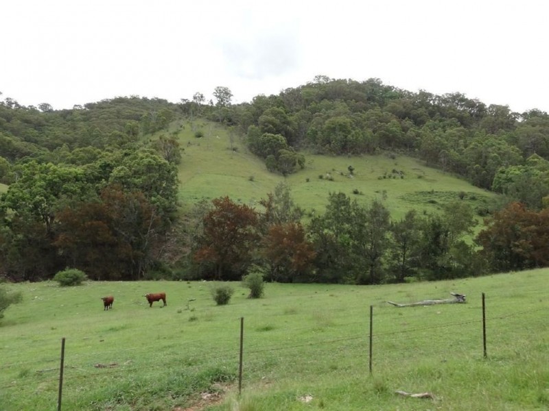 . “Top View”, Moonan Flat NSW 2337