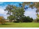 62 Warrah Creek Road, “The Gums”, Willow Tree NSW 2339