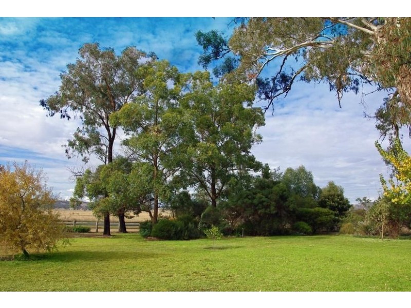 62 Warrah Creek Road, “The Gums”, Willow Tree NSW 2339