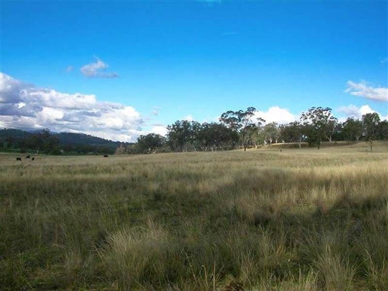 62 Warrah Creek Road, “The Gums”, Willow Tree NSW 2339