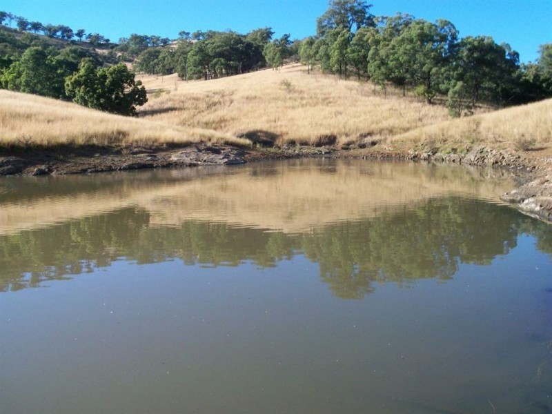 750 Waverley Rd, “Derwent”, Gundy NSW 2337