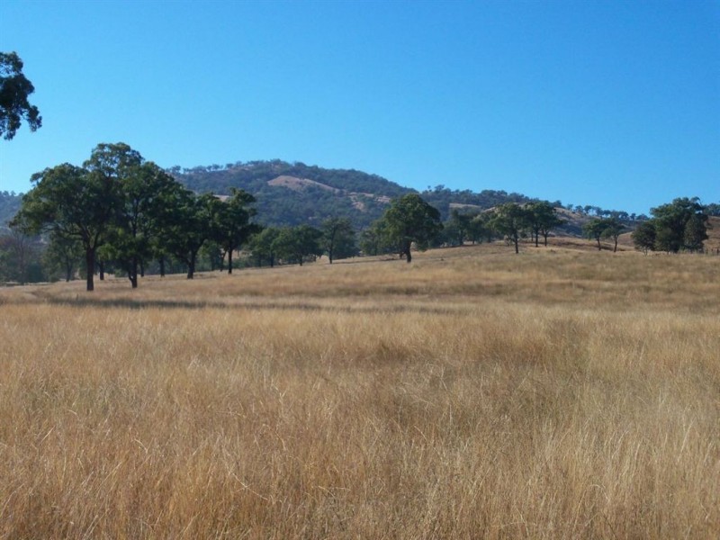 750 Waverley Rd, “Derwent”, Gundy NSW 2337