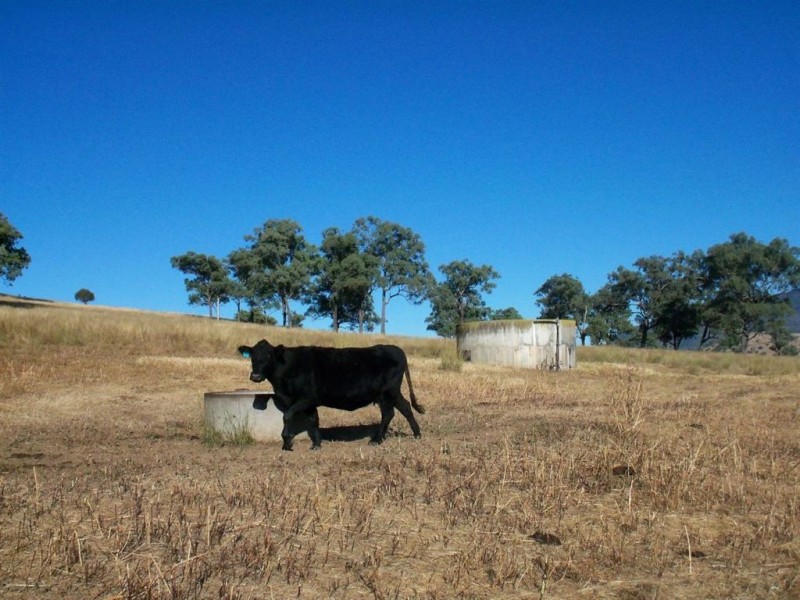 750 Waverley Rd, “Derwent”, Gundy NSW 2337