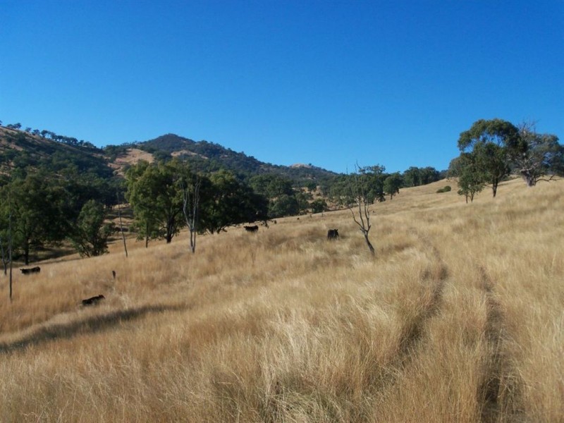 750 Waverley Rd, “Derwent”, Gundy NSW 2337