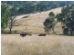 750 Waverley Rd, “Derwent”, Gundy NSW 2337