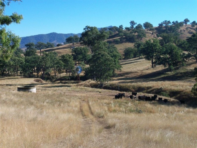 750 Waverley Rd, “Derwent”, Gundy NSW 2337