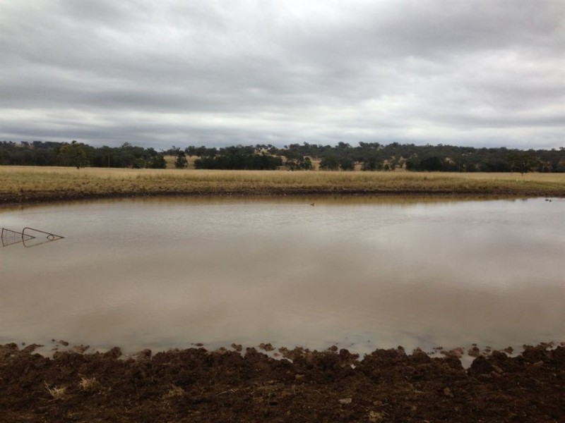 . Warrah Creek Rd (cnr Swinging Ridges Rd), Willow Tree NSW 2339